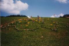 1994_bula_napfgebiet_lu_5