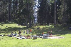 2004_ftan_gr_11