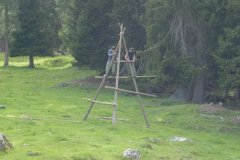 2004_ftan_gr_15