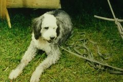 2001_sangernboden_be_33