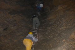 2003_weissenstein_so_106