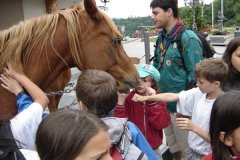 2005_stallikon_zh_151