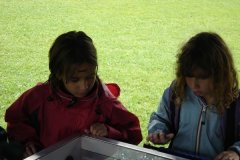 2005_stallikon_zh_167
