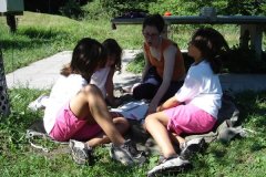 2005_stallikon_zh_28